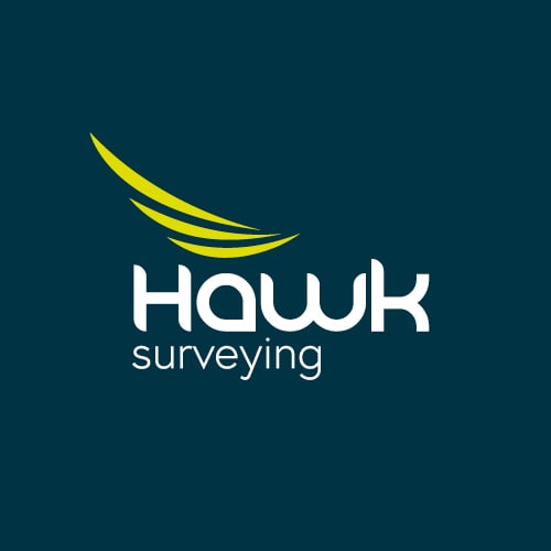 Hawk Surveying - Logo Design